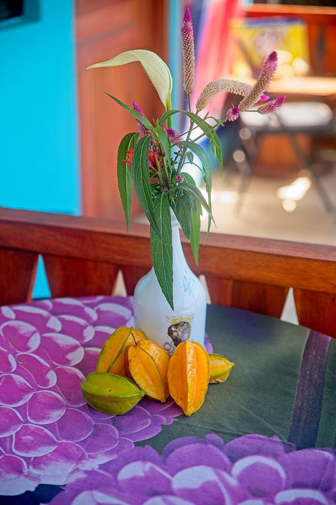 Hotel Mar Caribe Pv Puerto Viejo de Talamanca Esterno foto